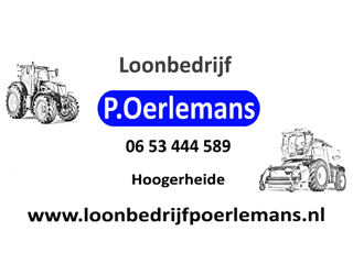 Logo Maatschap Oerlemans - Simons Hoogerheide